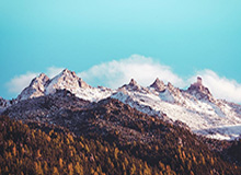 世界杯手机直播-中国金球奖颁奖典礼落幕